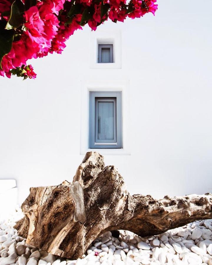 Palmariva * Φηρά